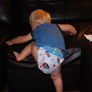 The Flappy Nappies Story